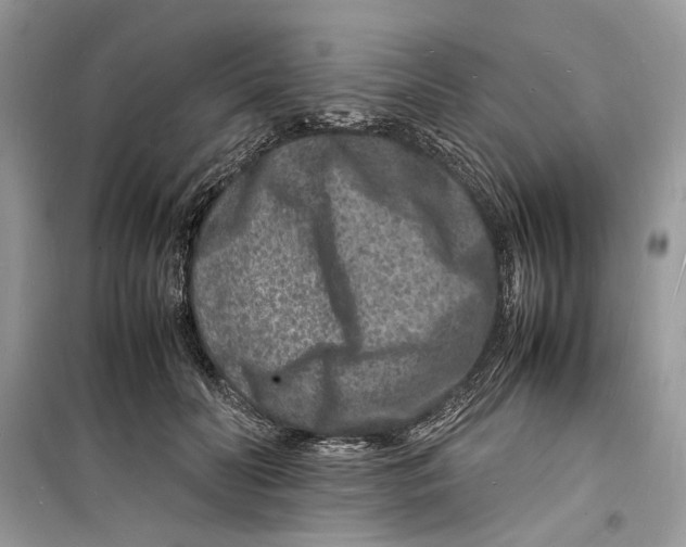 X0000098180606200805221539