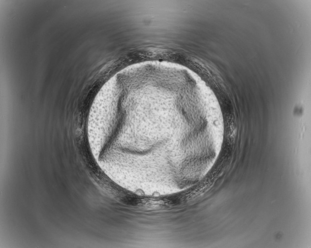 X0000098180607200805221539