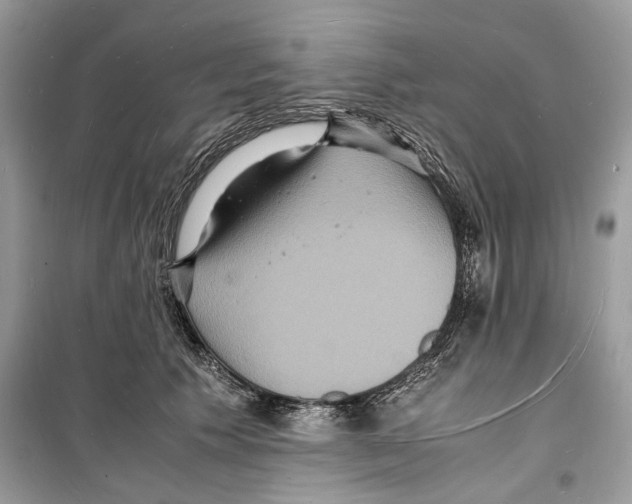 X0000098180609200805221539