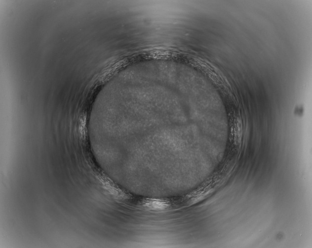 X0000098180610200805221539