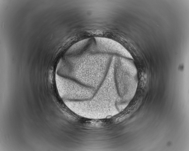 X0000098180612200805221539