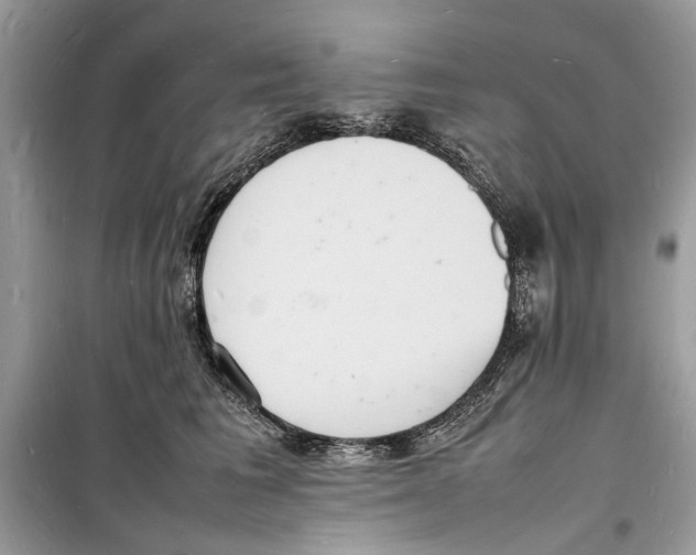 X0000098180613200805221539