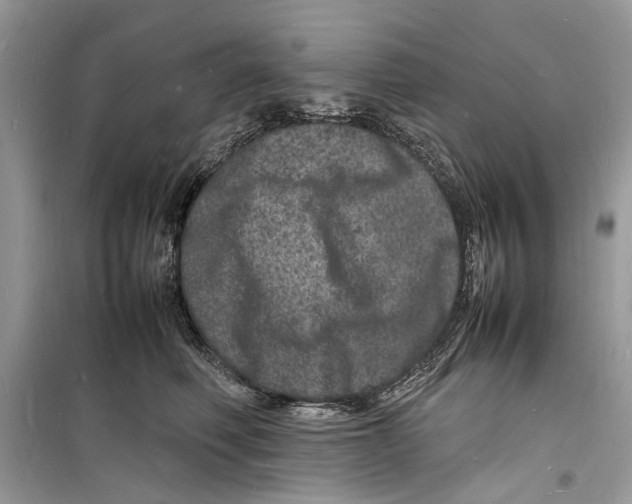 X0000098180614200805221539