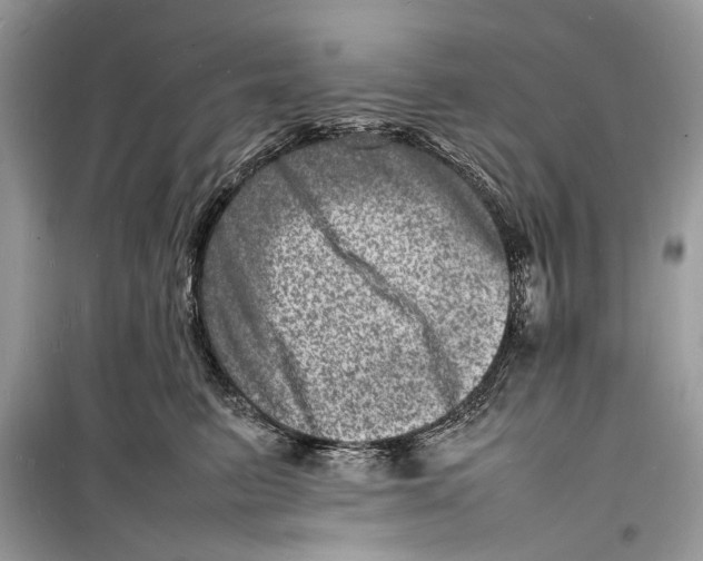 X0000098180615200805221539