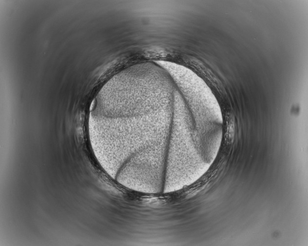 X0000098180616200805221539