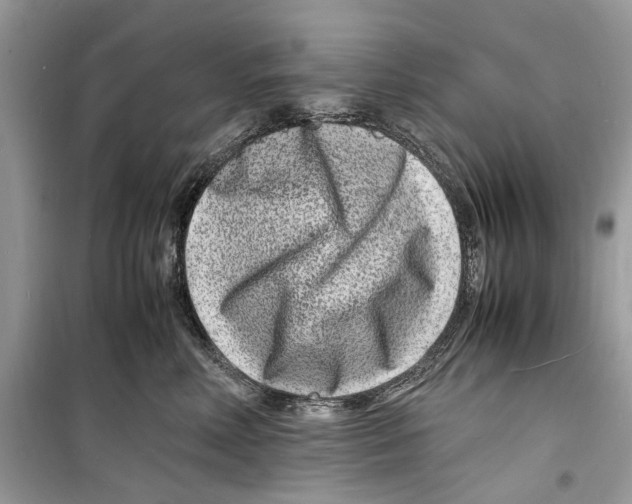 X0000098180618200805221539