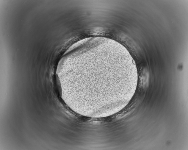 X0000098180620200805221539