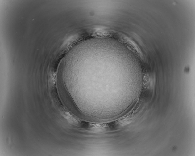 X0000098180621200805221539