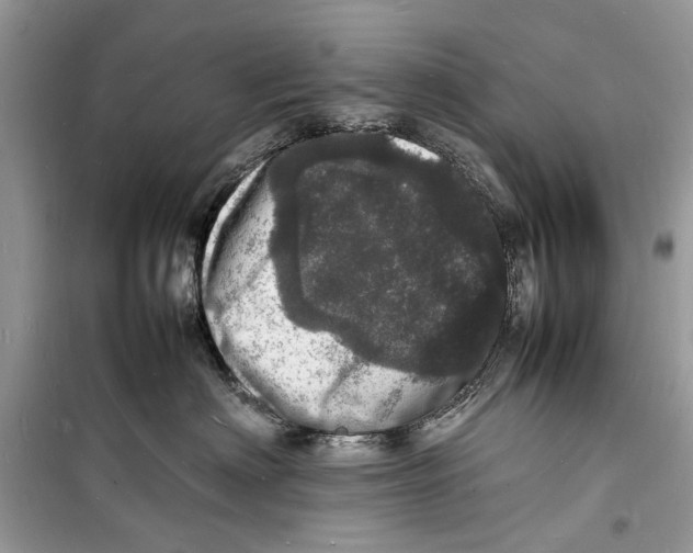 X0000098180622200805221539