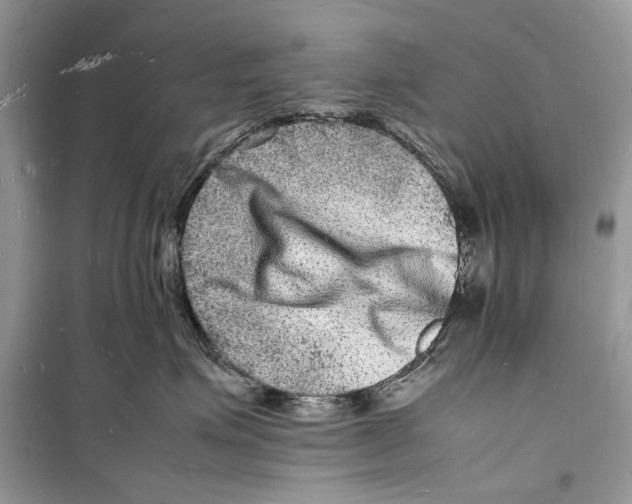 X0000098180623200805221539