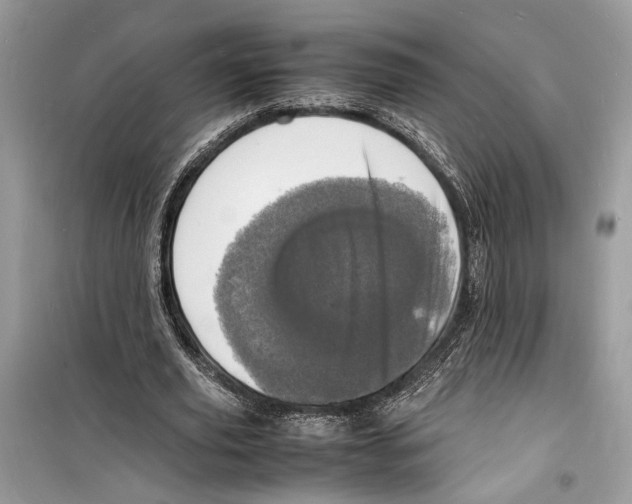 X0000098180629200805221538