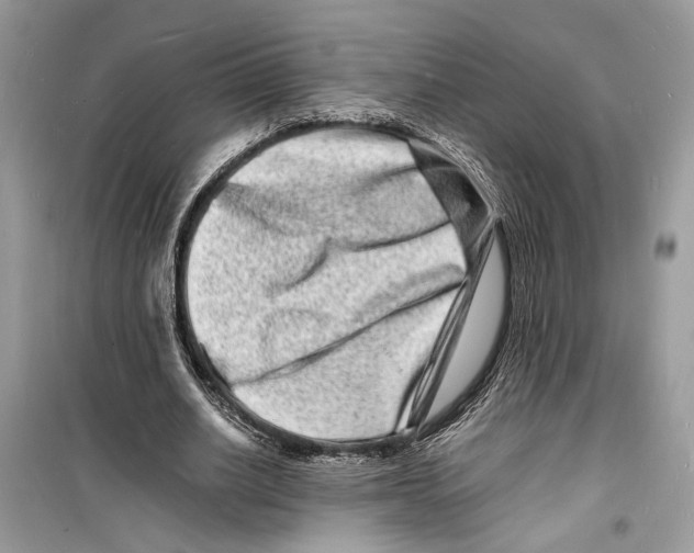 X0000098180630200805221538