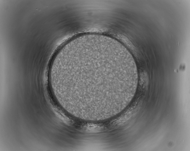 X0000098180632200805221538