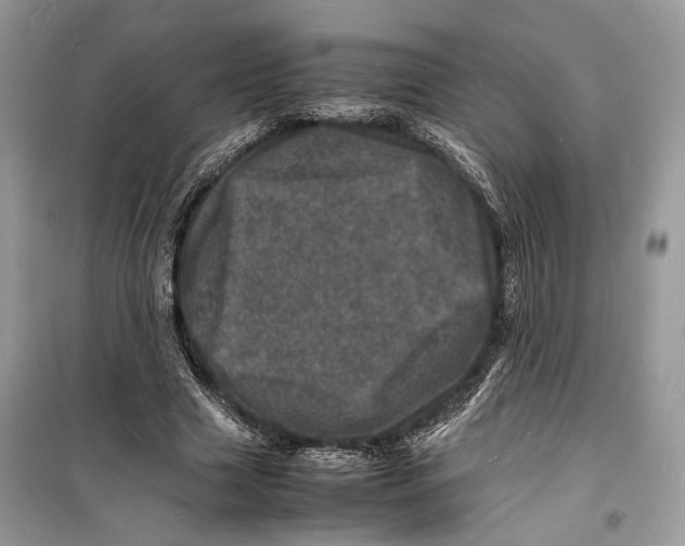 X0000098180633200805221538