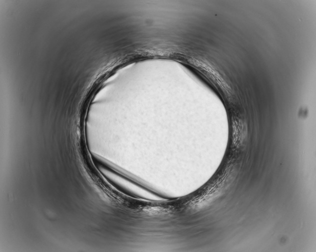 X0000098180634200805221538