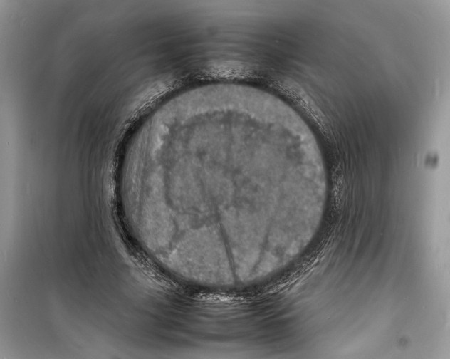 X0000098180635200805221538