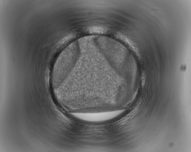 X0000098180637200805221538