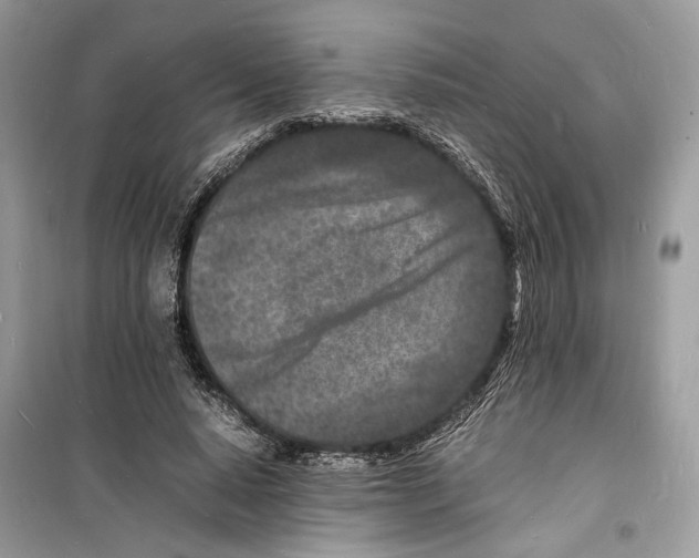 X0000098180640200805221538