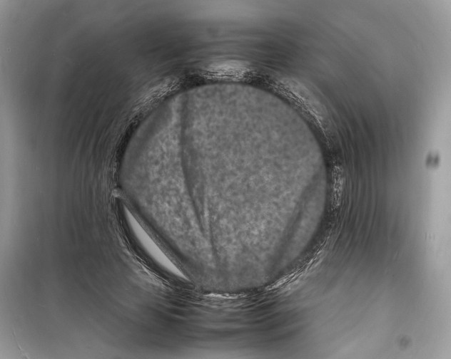 X0000098180641200805221538