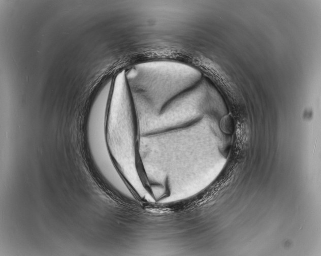 X0000098180642200805221538