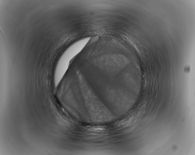 X0000098180643200805221538