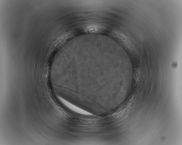 X0000098180645200805221538