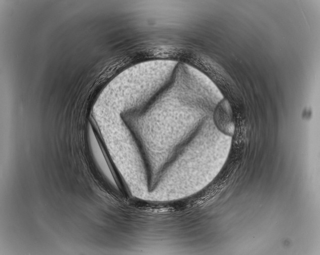 X0000098180646200805221538