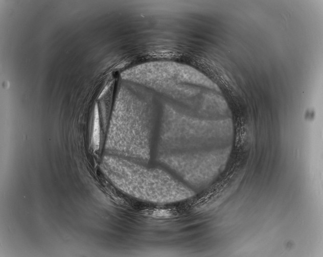 X0000098180647200805221538