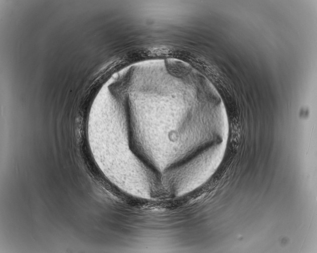 X0000098180648200805221538