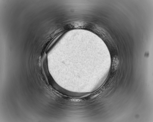 X0000098180650200805221538