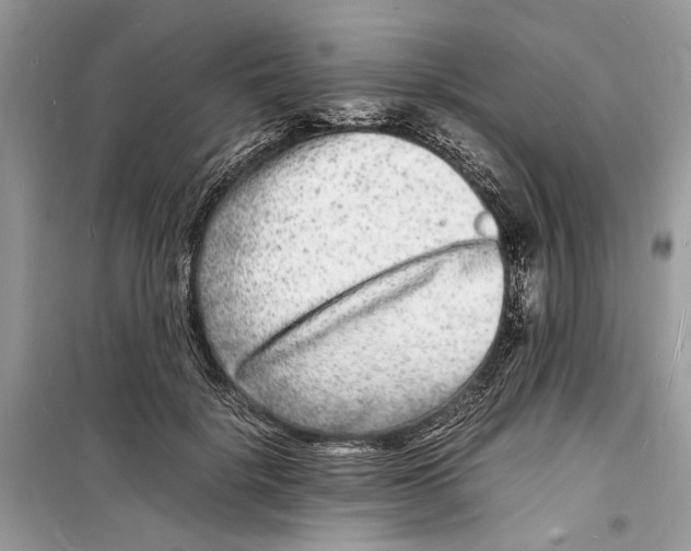 X0000098180652200805221538