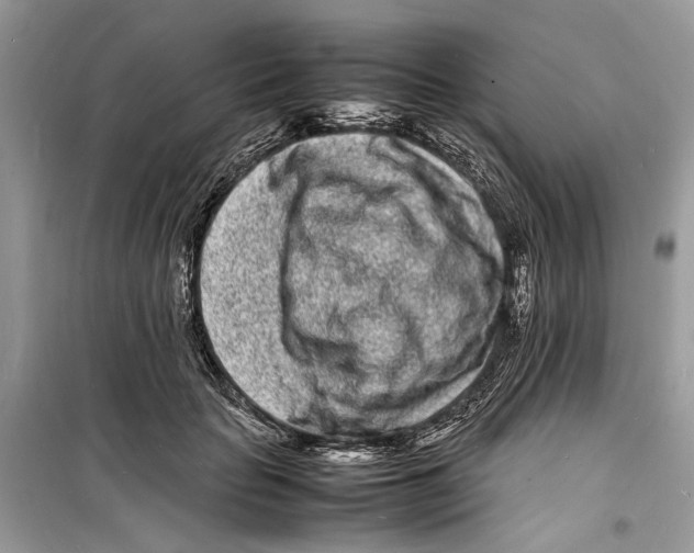 X0000098180653200805221538