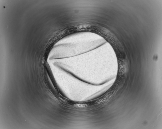 X0000098180654200805221538