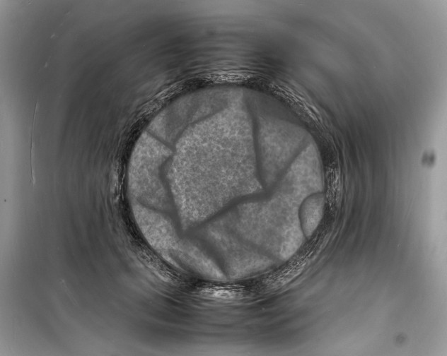 X0000098180655200805221538