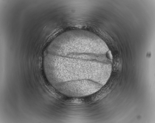 X0000098180656200805221538