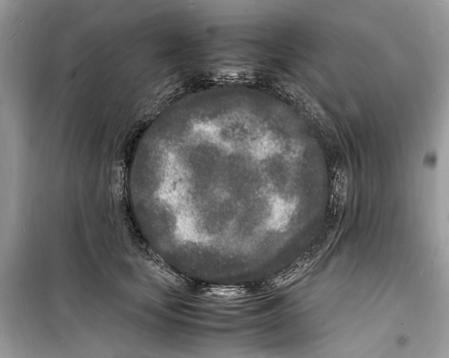 X0000098180659200805221538