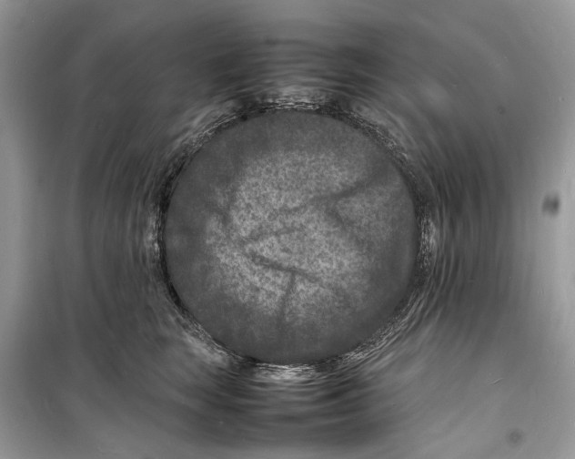 X0000098180663200805221538