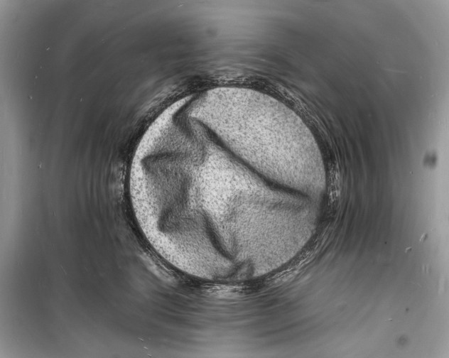 X0000098180664200805221538