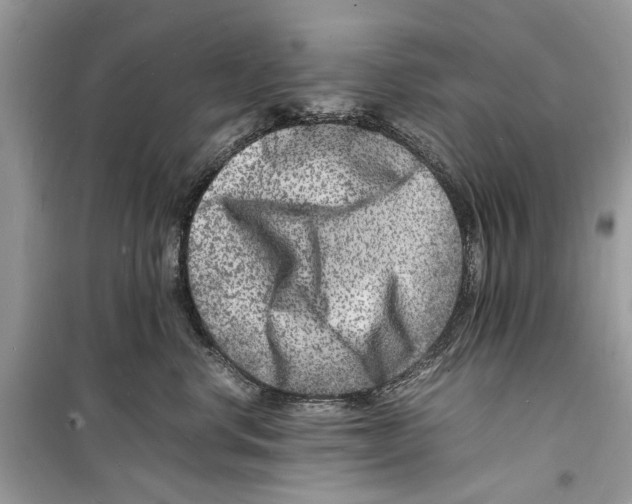 X0000098180668200805221539