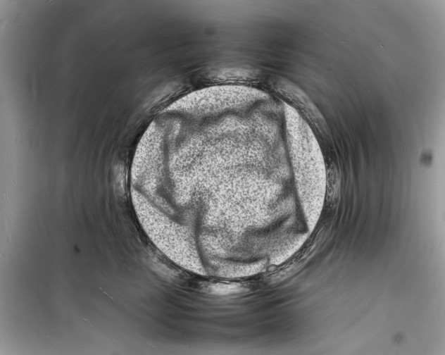 X0000098180669200805221539