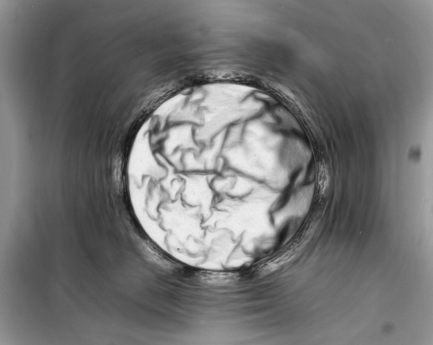 X0000098180670200805221539