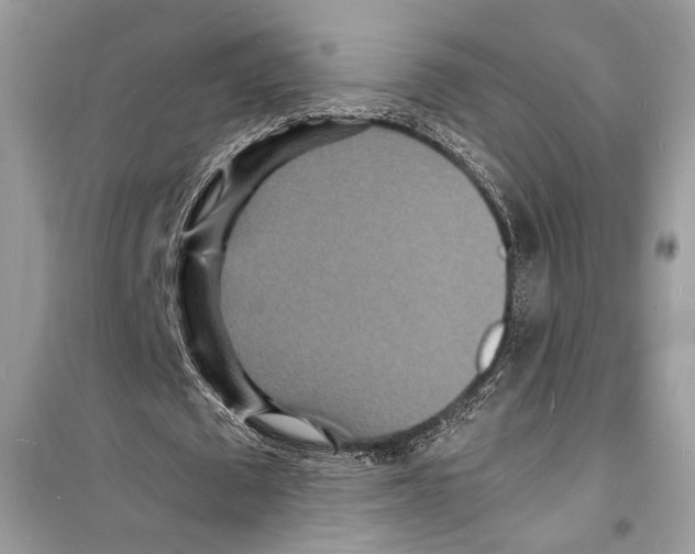 X0000098180673200805221538