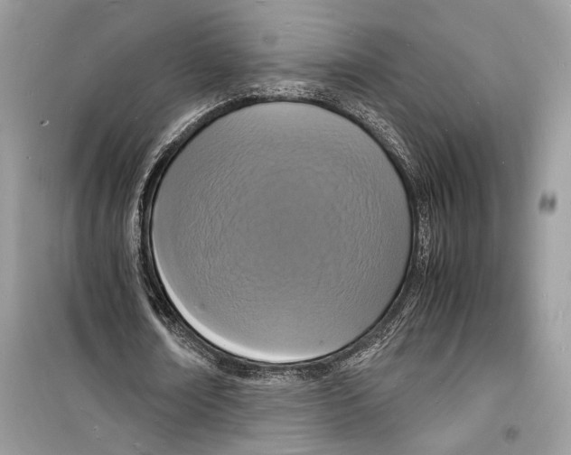 X0000098180674200805221538