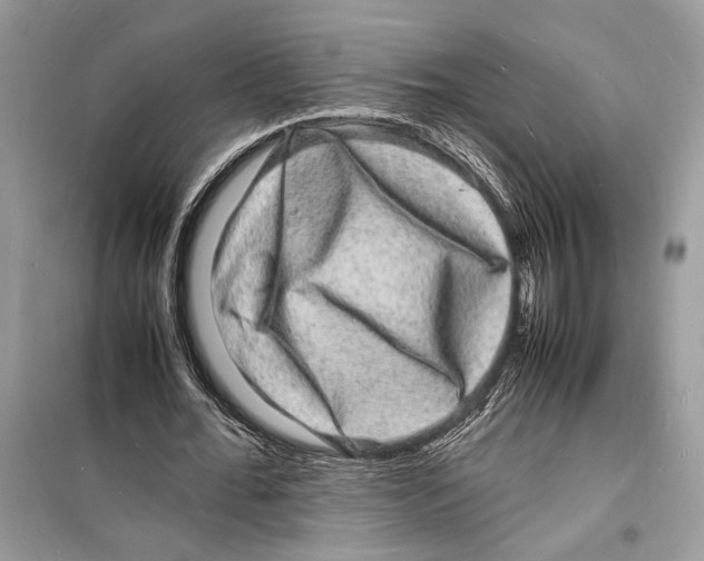 X0000098180676200805221538