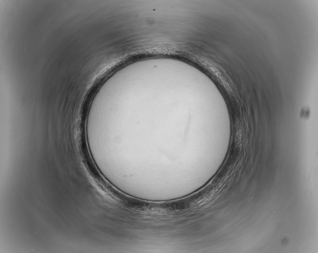 X0000098180677200805221538