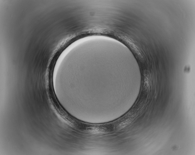 X0000098180678200805221538