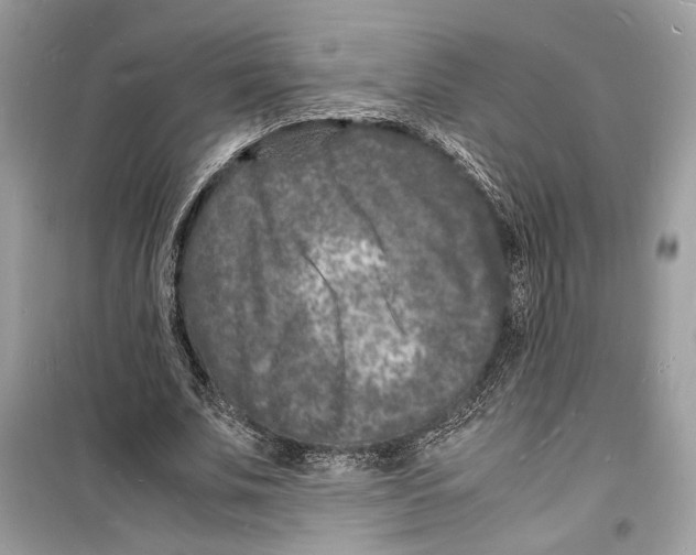 X0000098180679200805221538