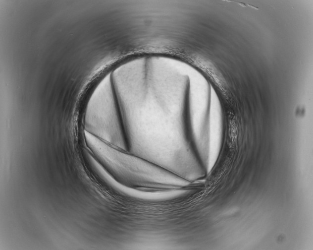 X0000098180680200805221538