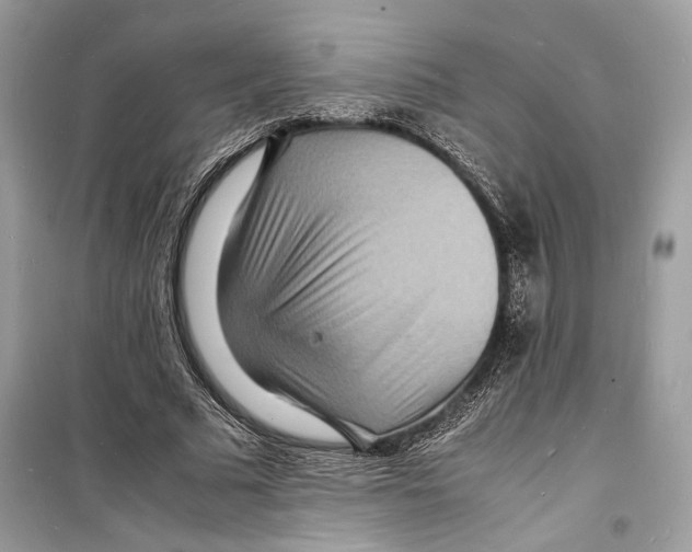 X0000098180681200805221538