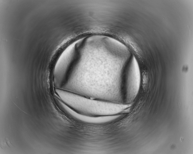 X0000098180684200805221538